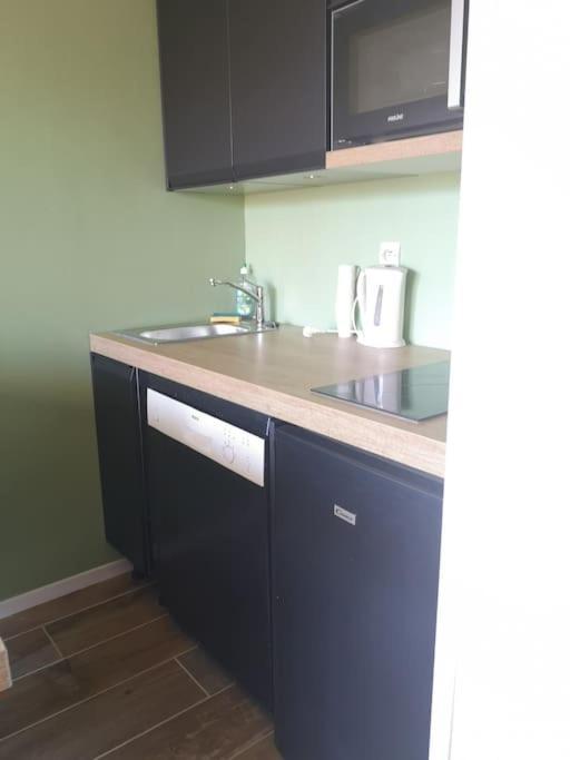 Ferienwohnung Au Pied Des Pistes Avec Parking Entierement Renove Huez Exterior foto